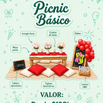→PICNIC BÁSICO←